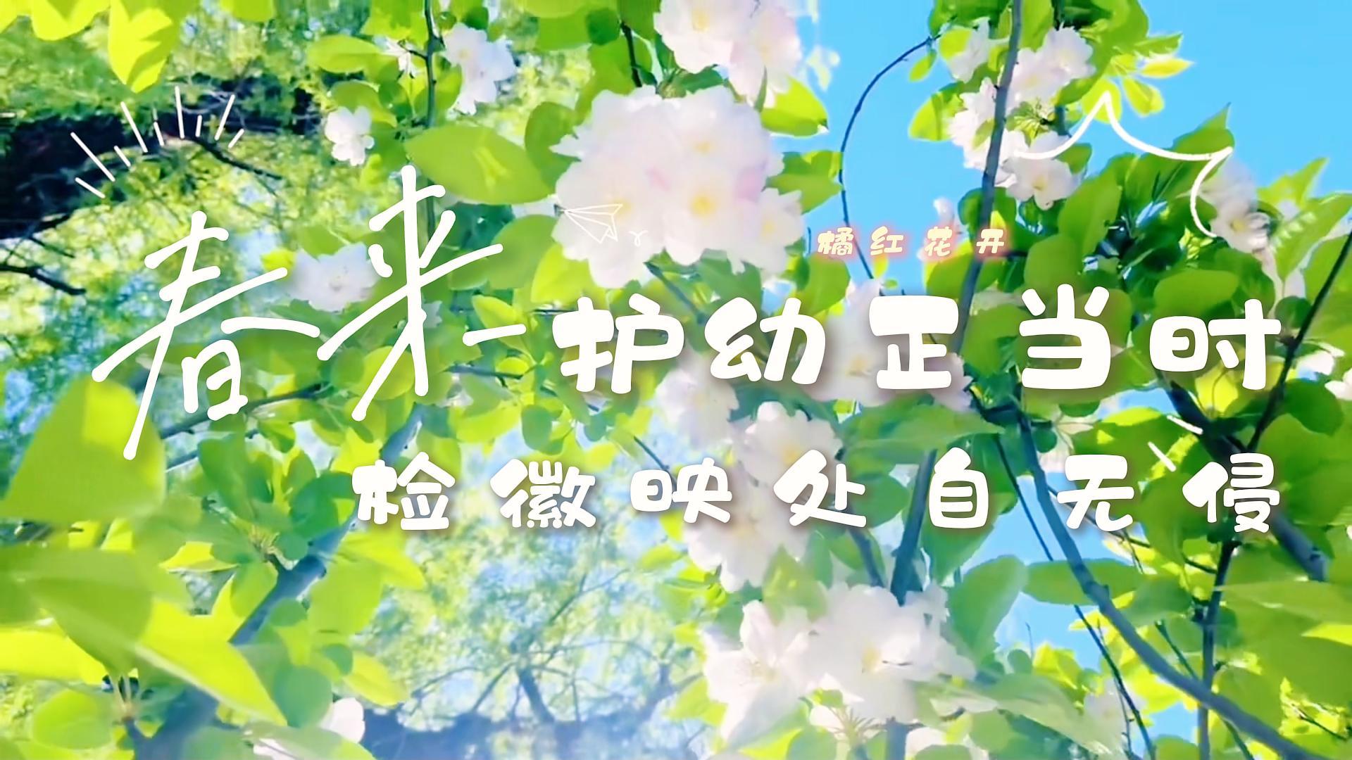 橘红花开｜春来护幼正当时，检徽映处自无侵